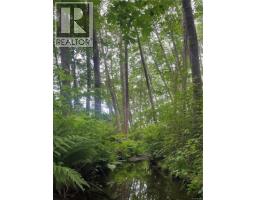 3401 River Rd, Chemainus, BC V0R1K3 Photo 73