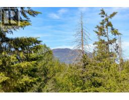3401 River Rd, Chemainus, BC V0R1K3 Photo 67