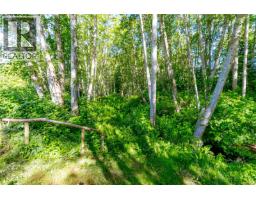 3401 River Rd, Chemainus, BC V0R1K3 Photo 50