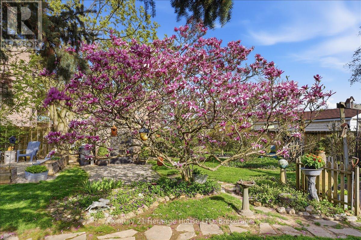 18 NORTHHAVEN ROAD - 33