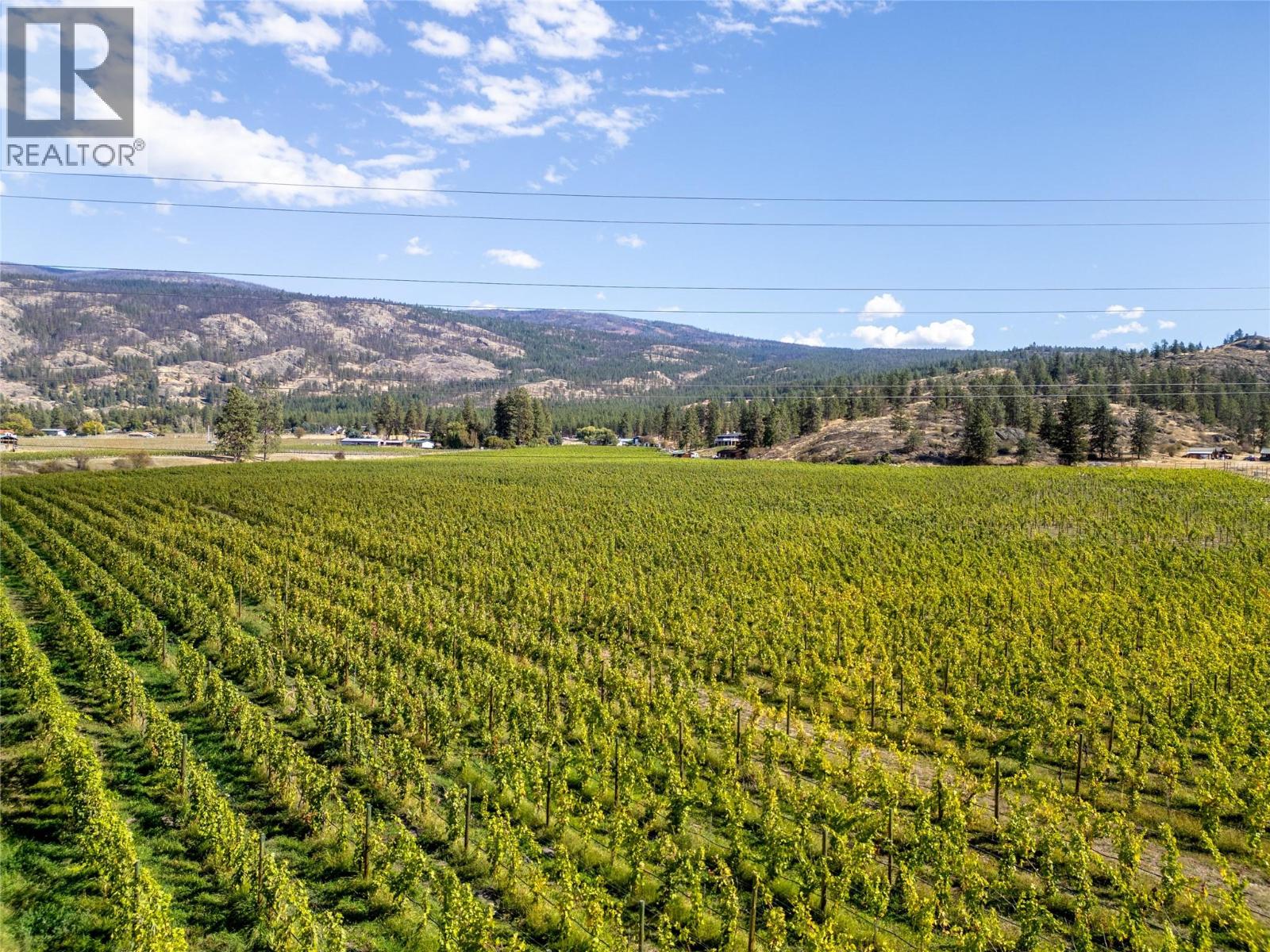 1580 Chapman Road, Okanagan Falls