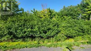LOT 7 PLAN 246 TOLMIES CORNERS ROAD