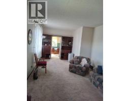 21  Peace River Avenue Peace River  E, Joussard, AB T0G1J0 Photo 19