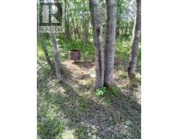 21  Peace River Avenue Peace River  E, Joussard, AB T0G1J0 Photo 43