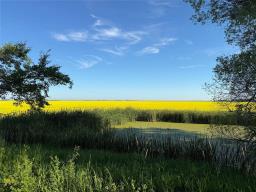 4023 Road 45nw Road, Sanford, MB R0G2J0 Photo 28
