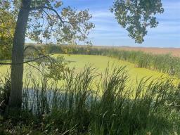 4023 Road 45nw Road, Sanford, MB R0G2J0 Photo 24