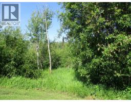 911052 234 Road, Rural Northern Lights, County Of, AB T0H2M0 Photo 28