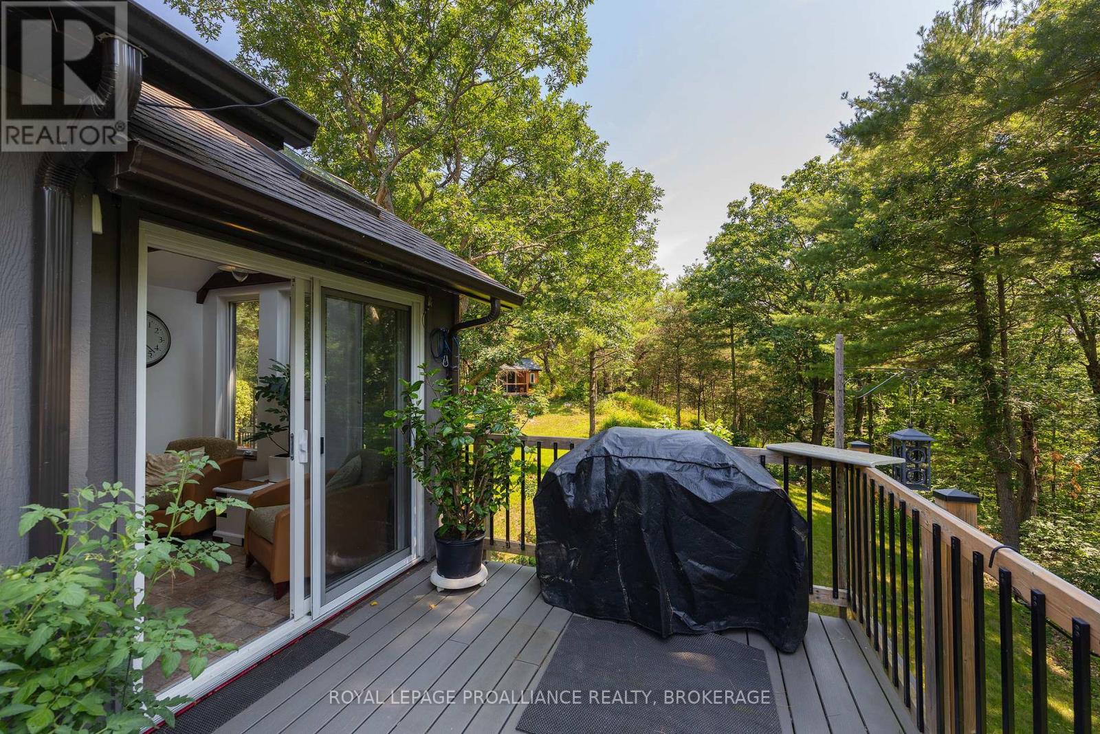 369 OLD RIVER ROAD - 16