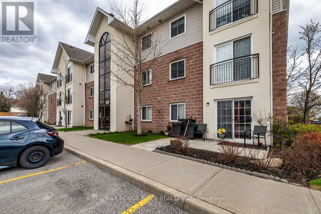 #307 87 ASPEN SPRINGS DRIVE - 19