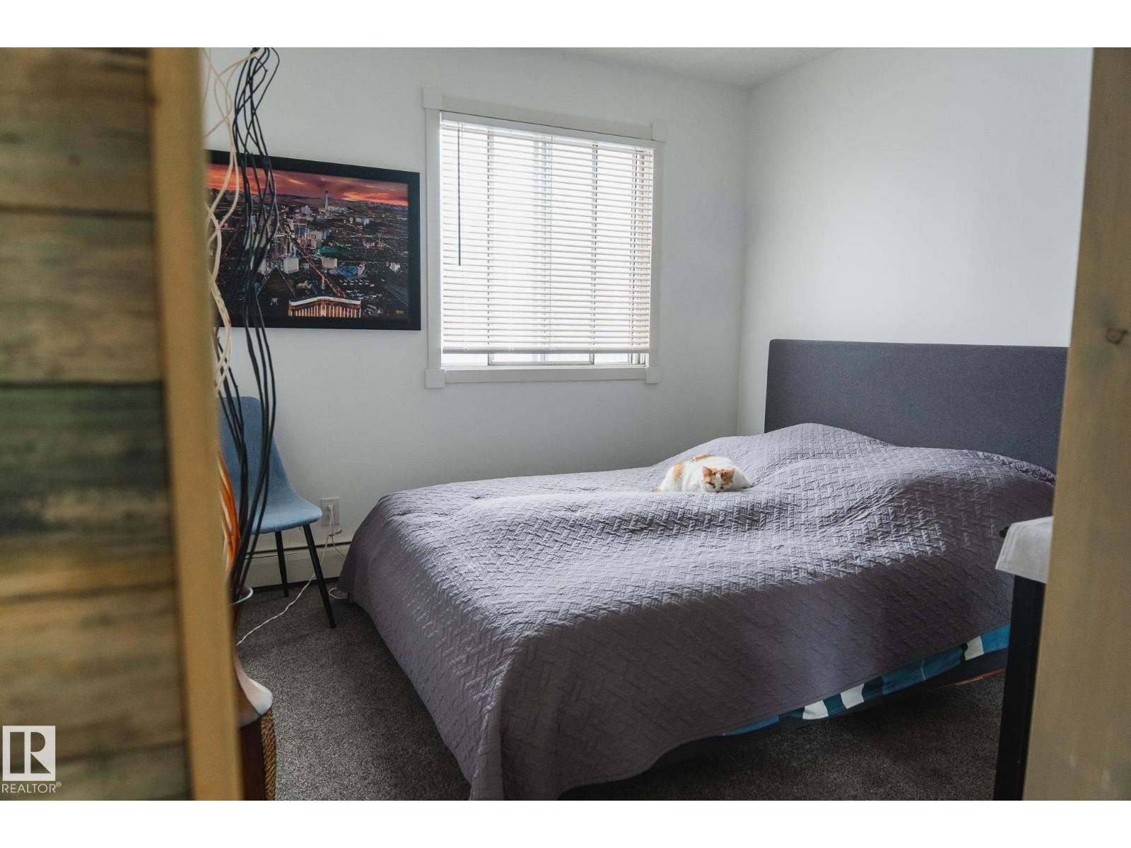 #303 10432 76 AV NW - 21