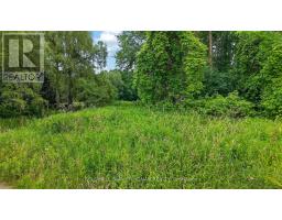 15 English Drive, New Tecumseth, ON L0G1A0 Photo 14