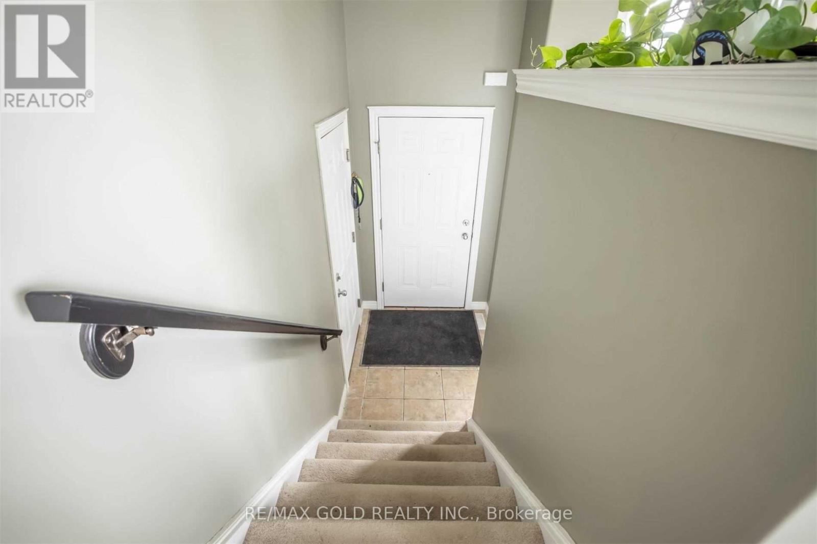 11 ROSE AVENUE - 22
