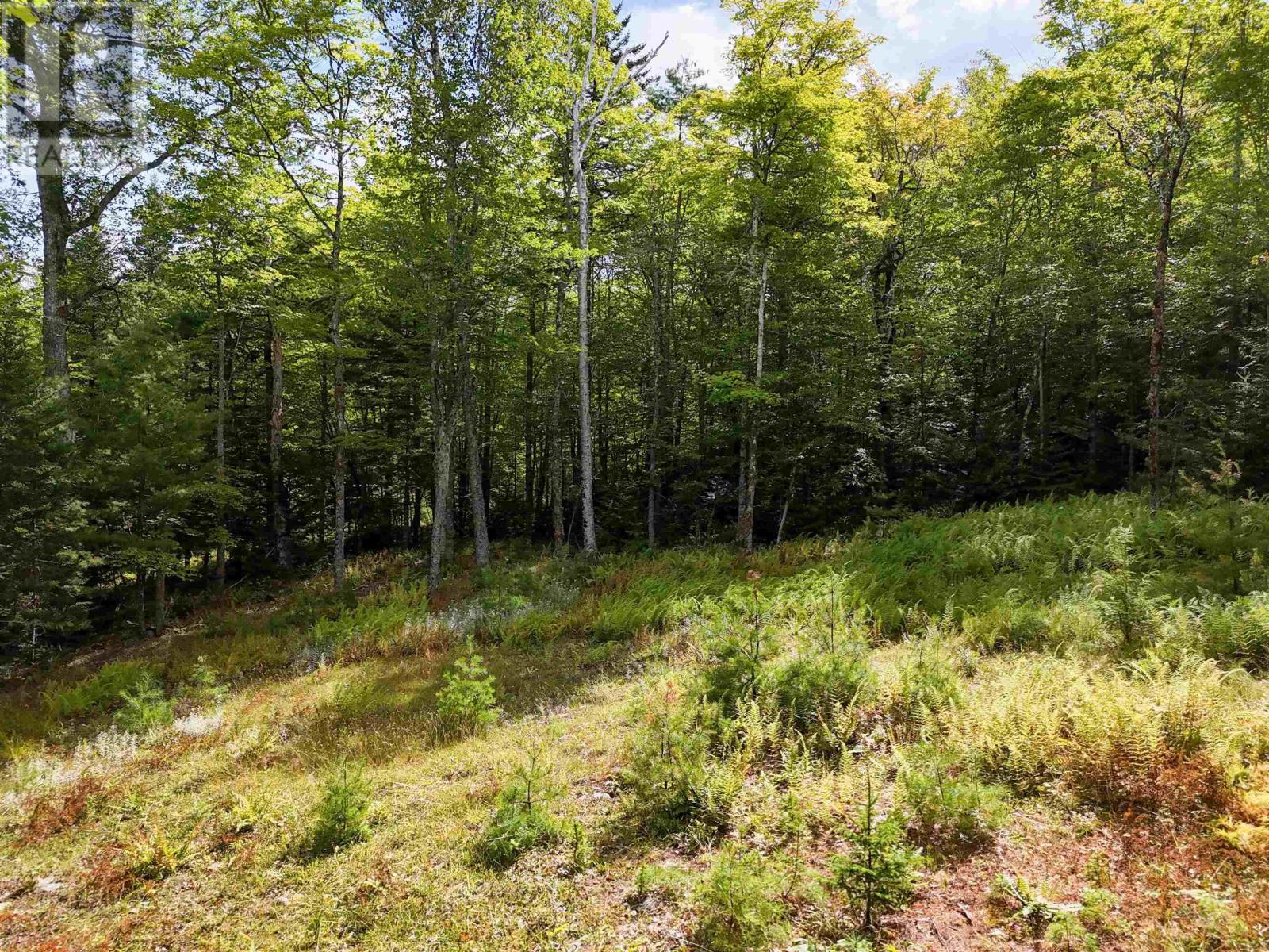 Property 2 of 16 of 35 142 Uhlman Point Road