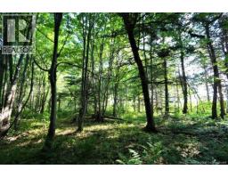 Lot 02-5 Renauds Mills Road, Saint Antoine, NB E4V2X7 Photo 8