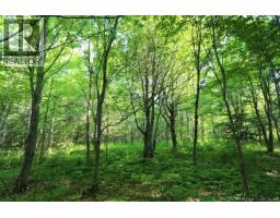 Lot 02-5 Renauds Mills Road, Saint Antoine, NB E4V2X7 Photo 9