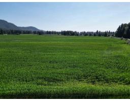 49ac Hyde Buker Road, Mission, BC V0M1H0 Photo 6