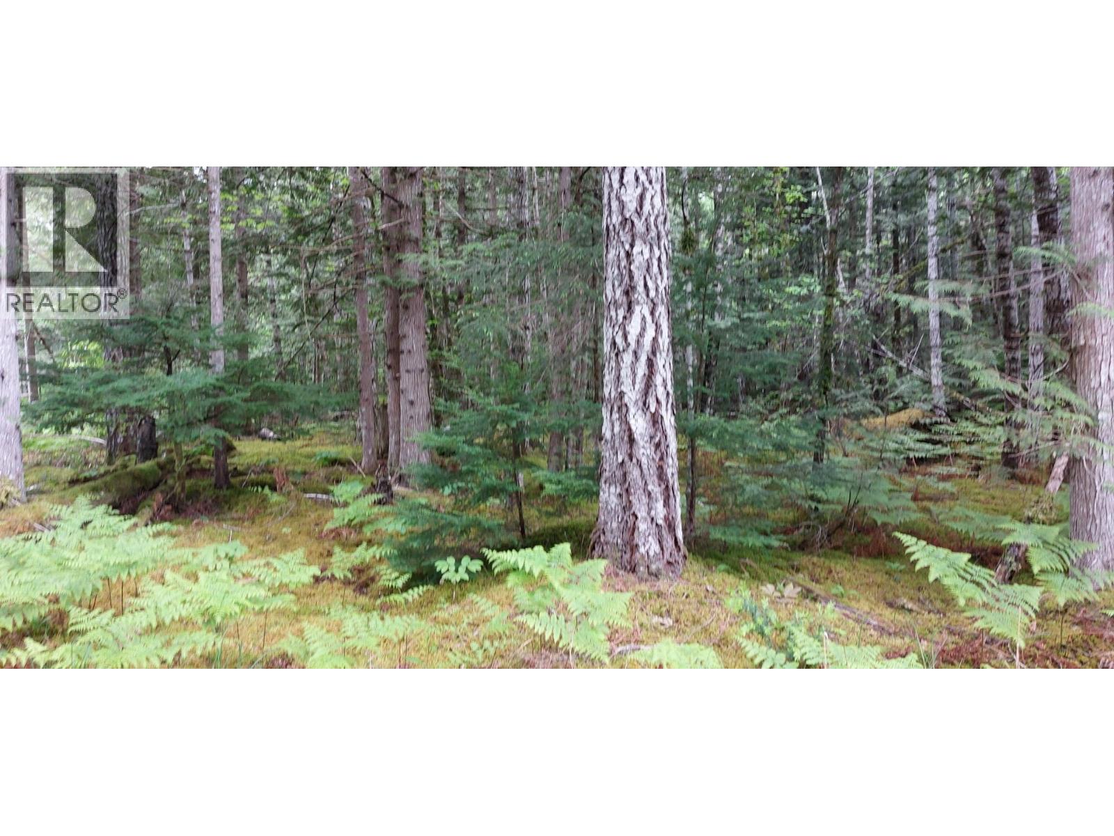 2848 JOURDENAIS ROAD - 13
