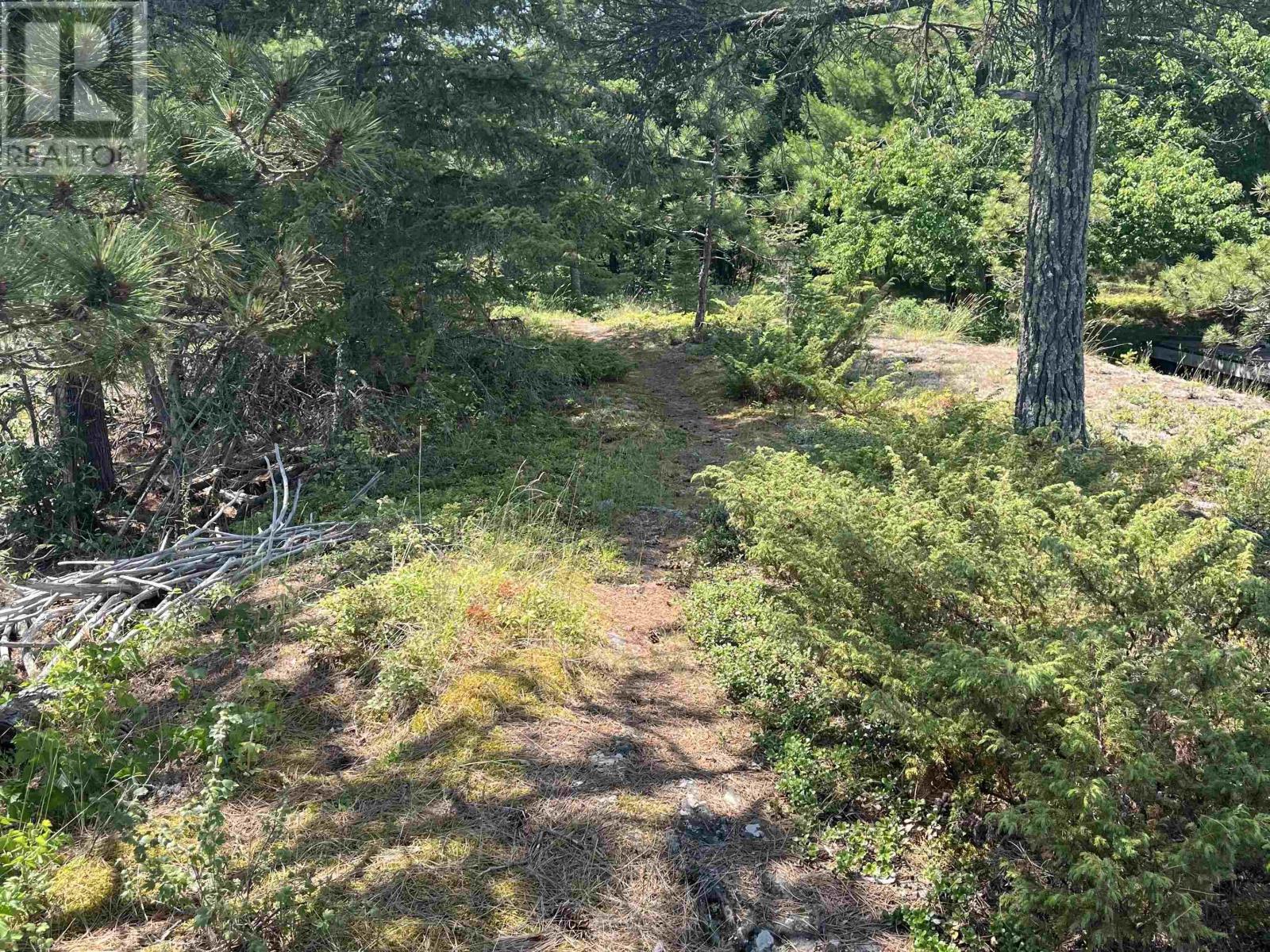 1 Red Pine Island - 32