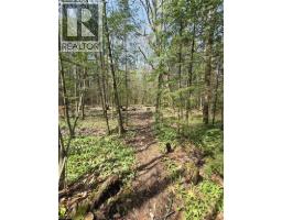 2516 Irish Line, Coldwater, ON L0K1E0 Photo 41
