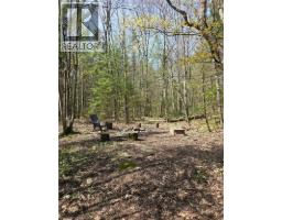 2516 Irish Line, Coldwater, ON L0K1E0 Photo 42