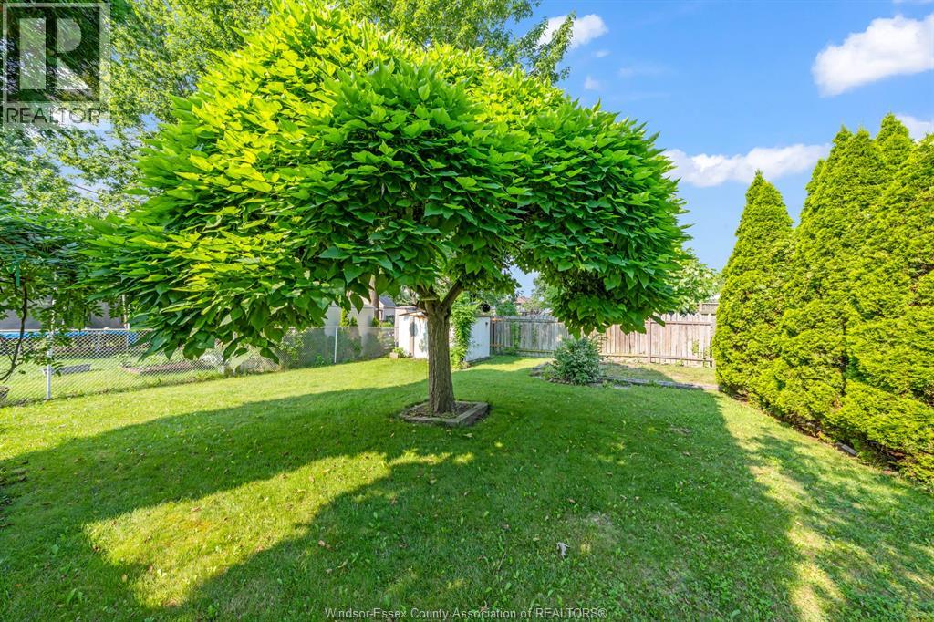 3343 HEMLOCK - 14
