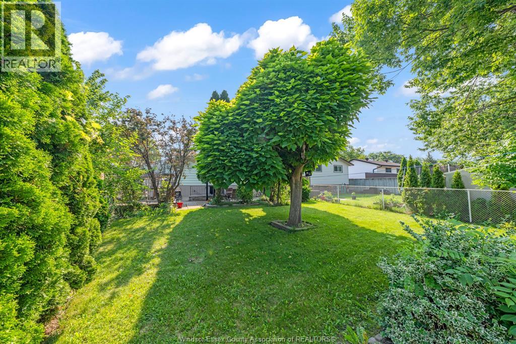 3343 HEMLOCK - 15