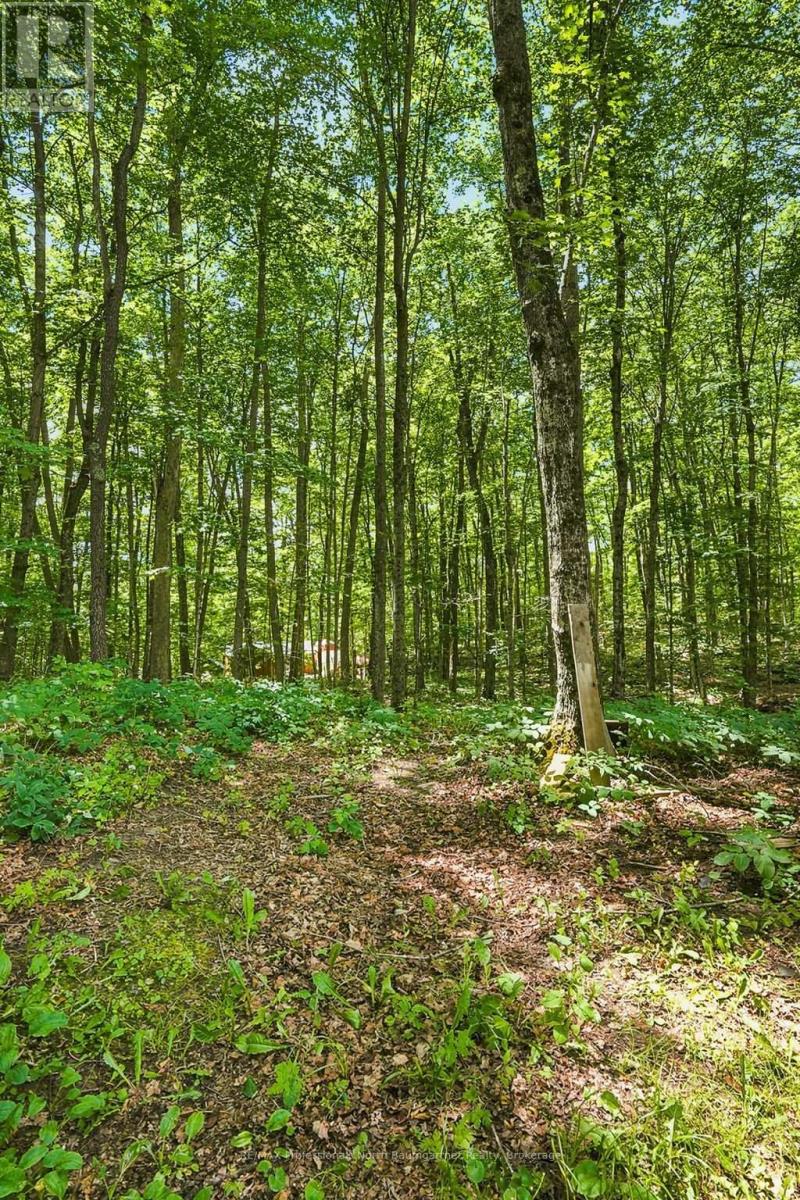1201 WENONA LAKE ROAD - 36