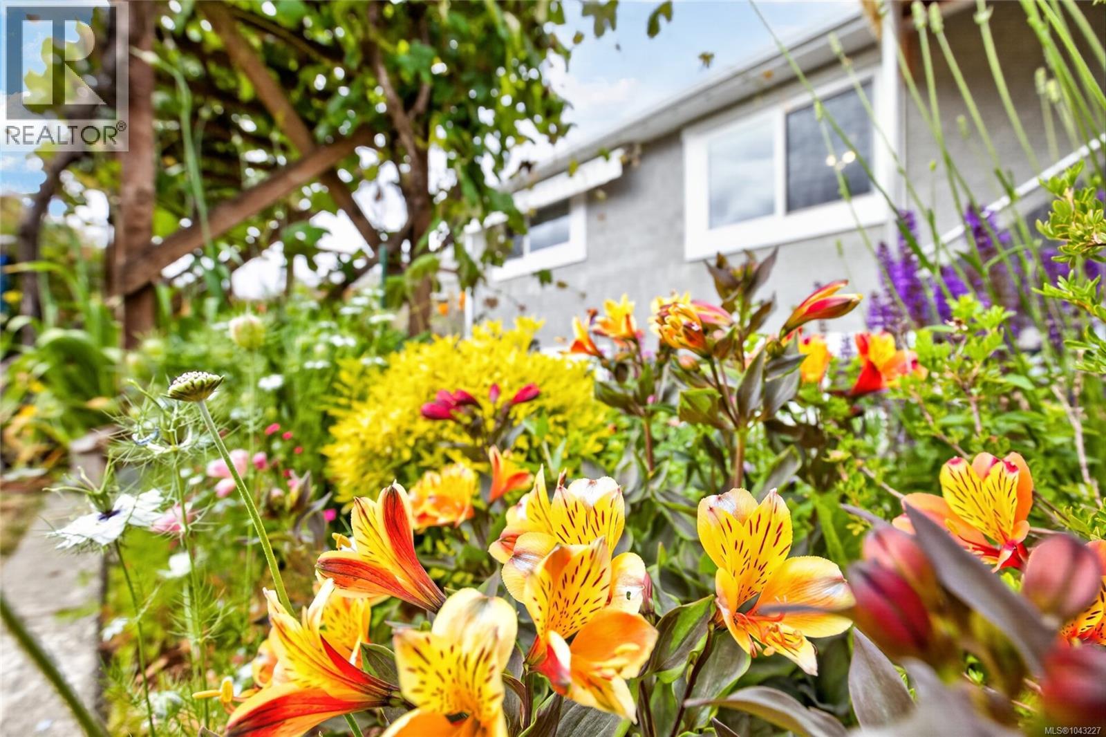 3896 Exton St, Port Alberni