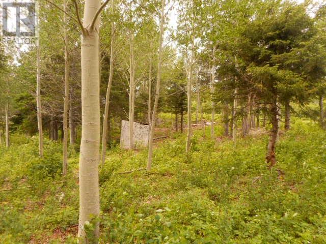 00 Salt Pond Road thumbnail 4