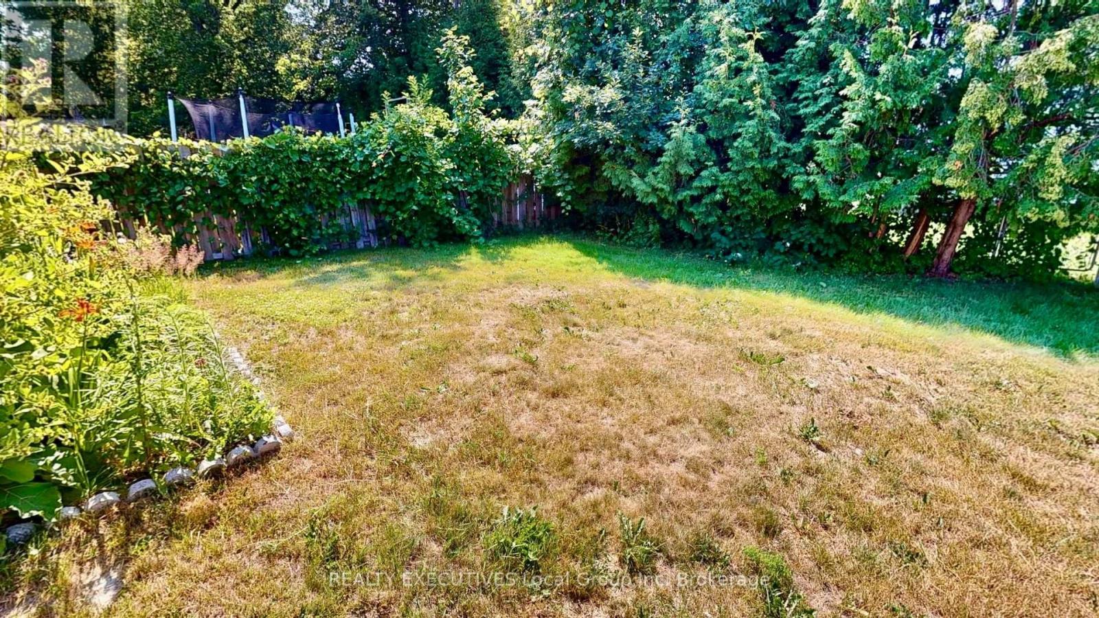 319 ALBERT AVENUE - 46