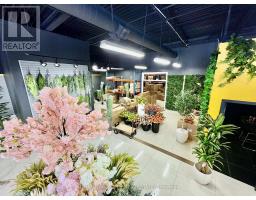 1194 Caledonia Road E, Toronto, ON M6A2W5 Photo 7