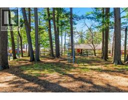 599 Gage Street, Delhi, ON N4B2G4 Photo 38