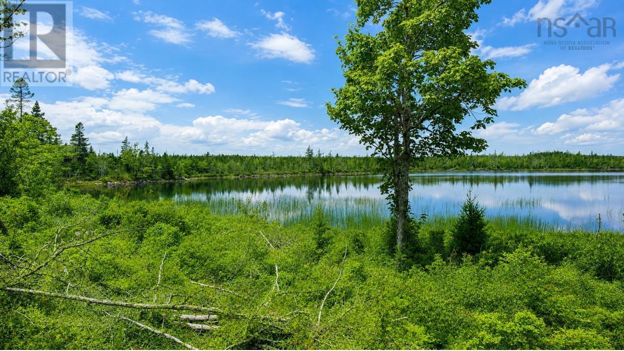 Property 3 of 6 of A, B, C Abrahams Lake Lane
