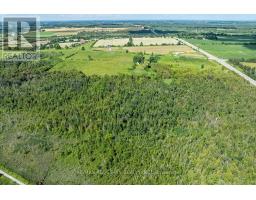 16865 Ridge Road, Brock, ON L0C1H0 Photo 50