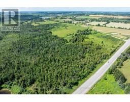 16865 Ridge Road, Brock, ON L0C1H0 Photo 47