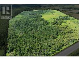 16865 Ridge Road, Brock, ON L0C1H0 Photo 49