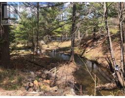 00 Little Silver Lake Road, Tay Valley, ON K0H2B0 Photo 17