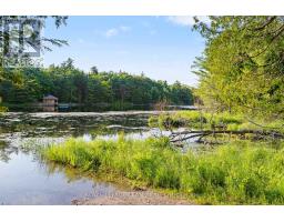 00 Little Silver Lake Road, Tay Valley, ON K0H2B0 Photo 7