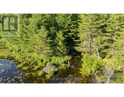 00 Little Silver Lake Road, Tay Valley, ON K0H2B0 Photo 6