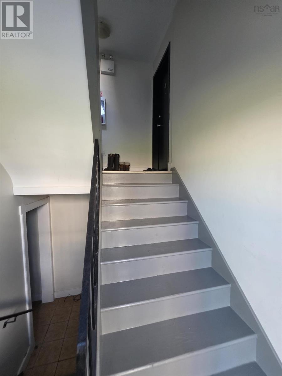 181 Evans Avenue - 18