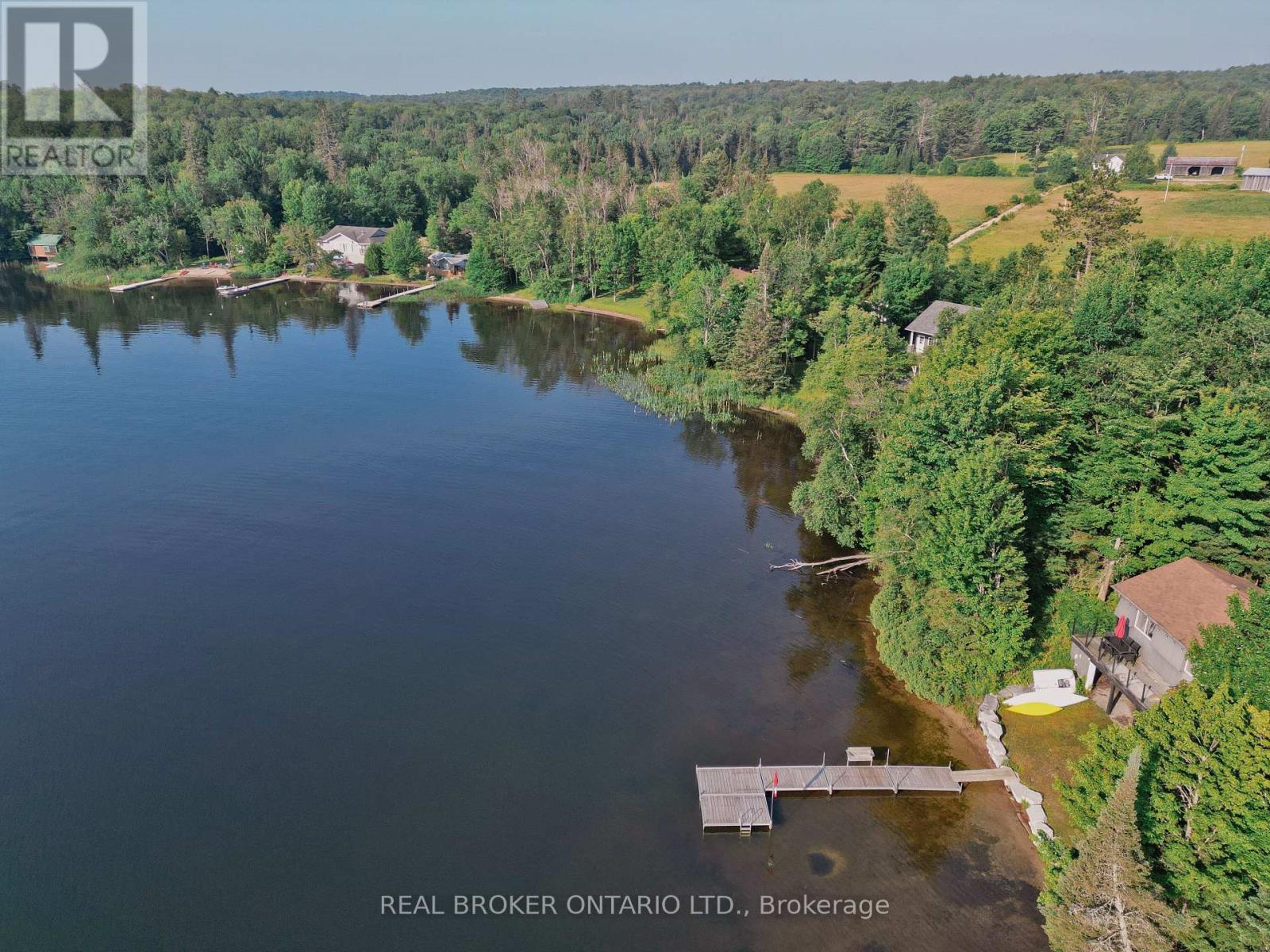 107 SCARLETT ROAD - 3