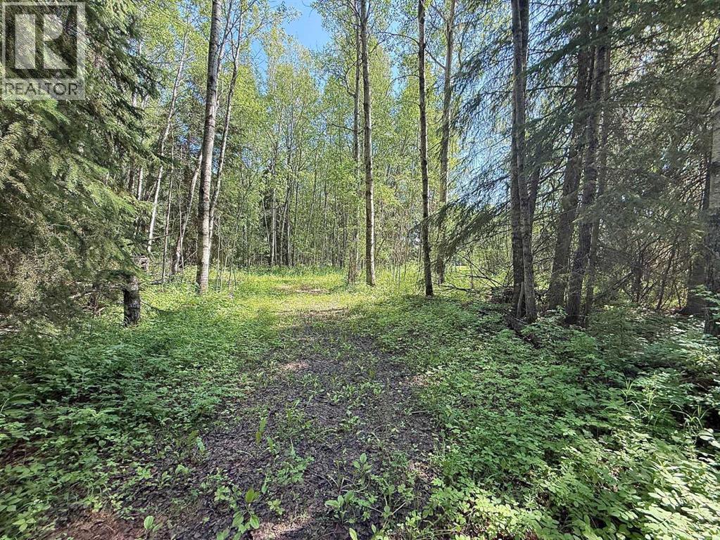 0 224060 Township Road 680 - Photo 29