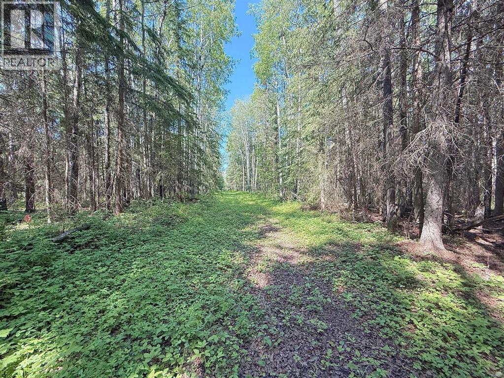 0 224060 Township Road 680 - Photo 28