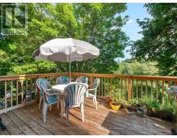169 Robert Hicks Drive, Toronto, ON M2R3R3 Photo 37