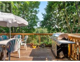 169 Robert Hicks Drive, Toronto, ON M2R3R3 Photo 38