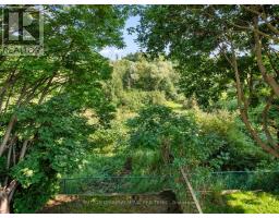 169 Robert Hicks Drive, Toronto, ON M2R3R3 Photo 39