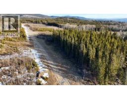 . Mountain Trail, Grande Cache, AB T0E0Y0 Photo 9