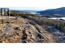 . Mountain Trail, Grande Cache, AB T0E0Y0 Photo 6