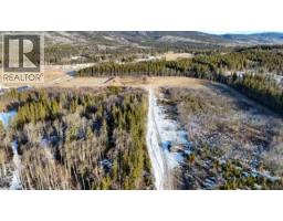 . Mountain Trail, Grande Cache, AB T0E0Y0 Photo 12