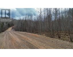 V/l Thomson Road, Birchwood, NS B0M1P0 Photo 11